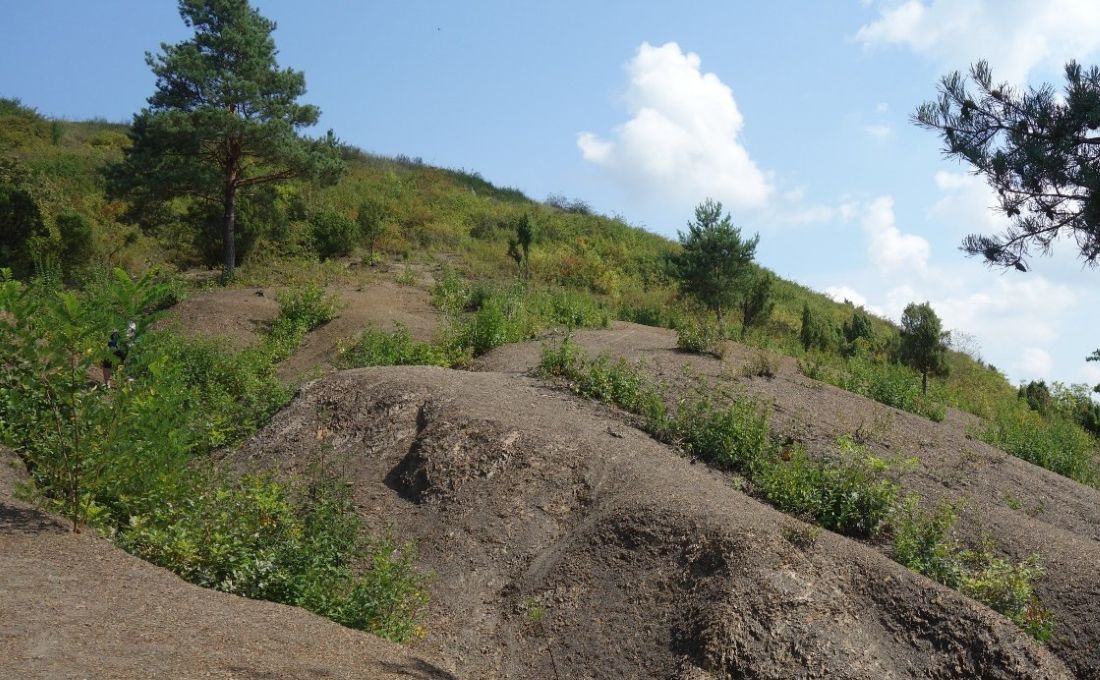 Góry Pieprzowe Sandomierz widok na Wisłę